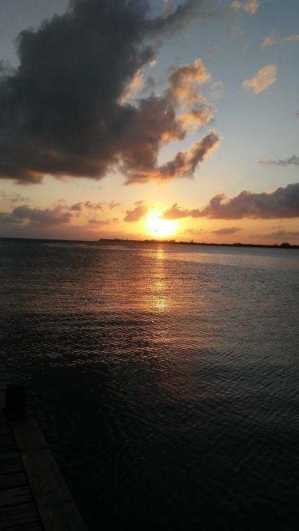 Serenity Beach Cottages Utila Dış mekan fotoğraf